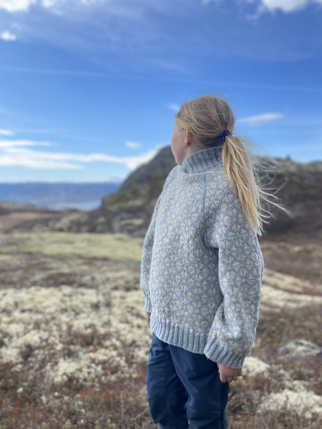 Vestavind Genser – bilde 10